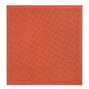 Longchamp Le Roseau Shawl - Silk Blend Paprika | 0579-DSVQE