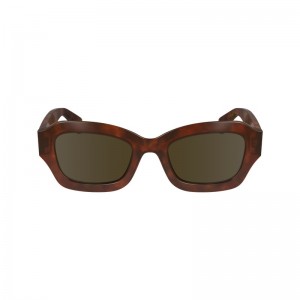 Longchamp Sunglasses - OTHER Kahverengi | 7846-BRDZW