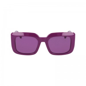 Longchamp Sunglasses - OTHER White/Violet | 4379-HFXWP