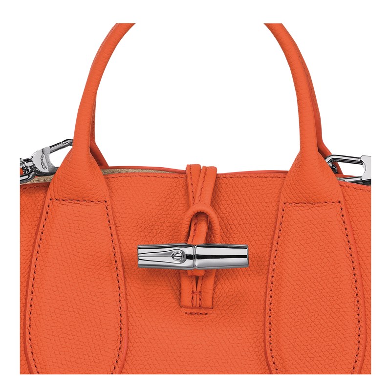 Longchamp Le Roseau S Handbag - Leather Turuncu | 0243-CNDSP