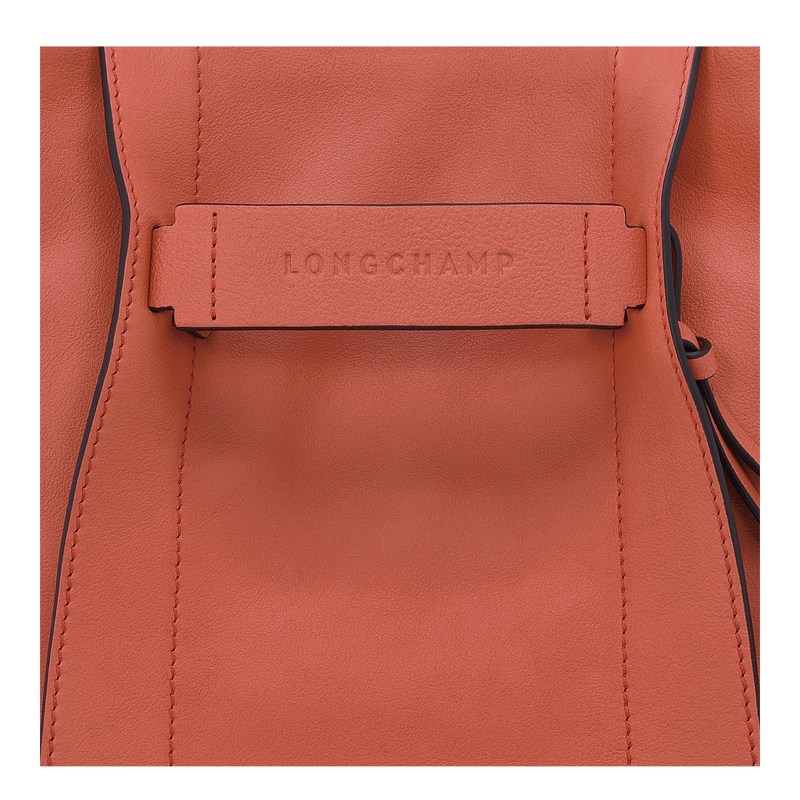 Longchamp Longchamp 3D S Crossbody bag - Leather Sienna | 0573-NCQHF