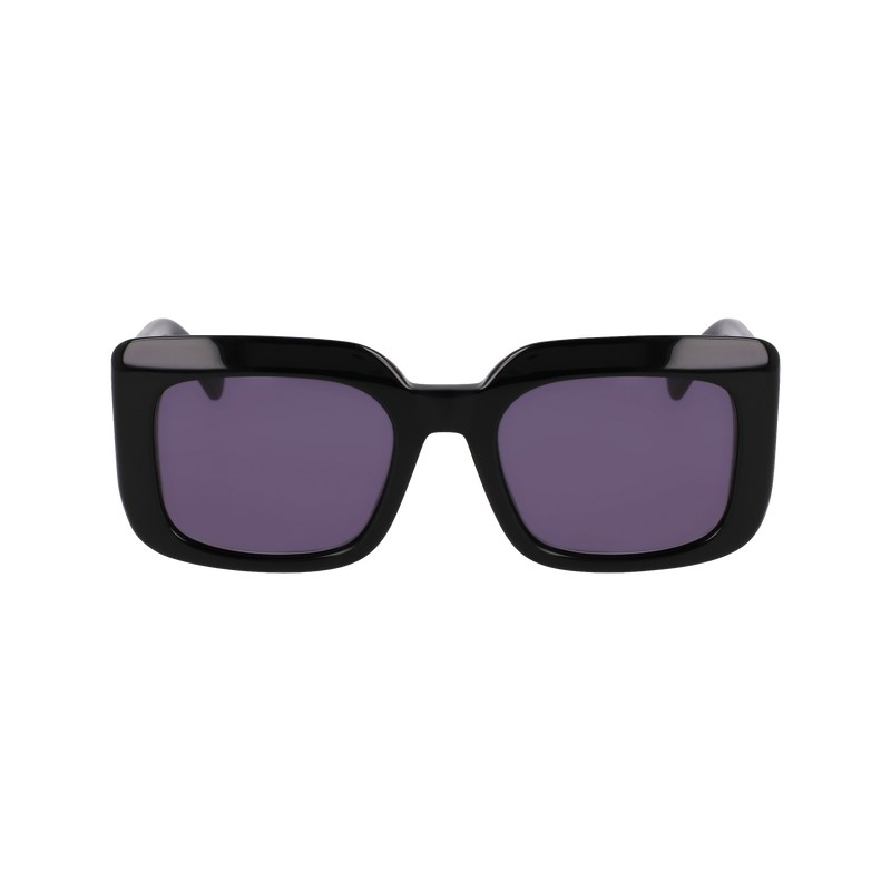 Longchamp Sunglasses - OTHER Siyah | 5179-BXCMQ